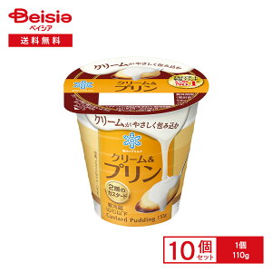 [①] 󃁃O~N N[v 110g×10