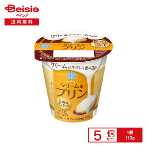 [①] 󃁃O~N N[v 110g×5