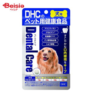 fB[GC`V[ f^PA60 ybg | DHC f^PA  L Tvg oPA   C ybgp 60