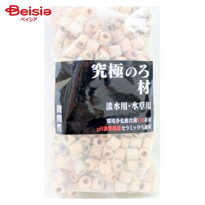 B-blast ɂ̂ _ 900ml ybg |   h Mы  W  ANAE