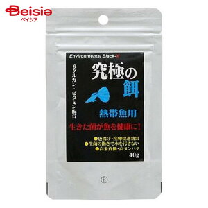 B-blast ɂ̉a Mыp 40g ybg | Mы GT a  ybg Ϗ܋