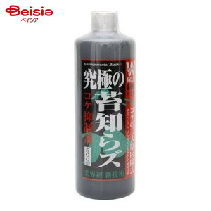 B-blast ɂ̑ےmY Lbh 500ml ybg |   RP  ۖh~ RPh~ Lbh 500ml ANAE 