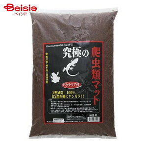 B-blast ɂ঒ރ}bg ז 4L ybg | ঒ }bg  ז 4L p[}bg VK}bg gJQ NK wr