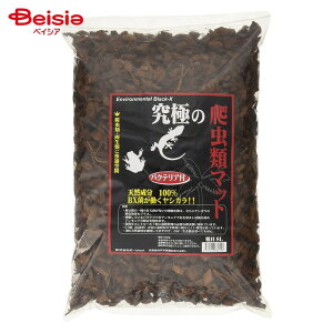 B-blast ɂ঒ރ}bg e 8L ybg | ঒ }bg  e 8L p[}bg VK}bg gJQ NK wr