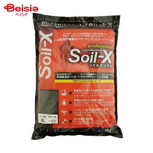 B-blast \CGbNX m[} ubN8L ybg | \CGbNX m[} ubN 8L ꏰ \C  ANAE Mы  Vv ybgpi