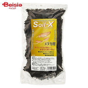 B-blast \CGbNX _Jp 0.8L ybg | \CGbNX _Jp 0.8L ꏰ \C  ANAE _J ybgpi