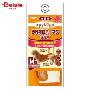 yeBI Ƃ s⏕n[lX 㑫p MTCY ybg |  n[lX s⏕ 㑫 ^ VjA V  nr