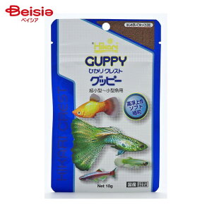 L[ ЂNXg Obs[ 10g ybg