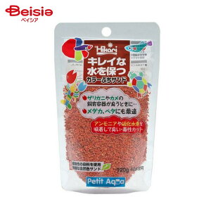 L[ Ђ J[ՂTh IW 120g ybg