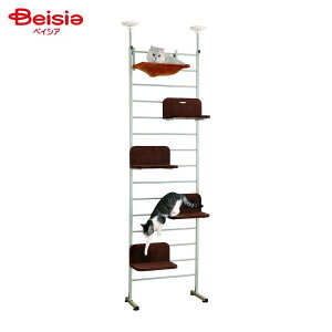 lRDK]i{rAR LbgEH[N ybg | LbgEH[N Lbg^[ LpƋ L ^s XgX ȃXy[X  CeA  g