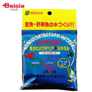 }c_ T~[Y oCIX^[ 50ml ybg | oCIX^[ 50ml oNeA Mы Ϗ܋  W C ANAE 