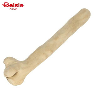 [N [v JtFEbh`v L ybg |    Ebh ނ f^ ybgpi p v S XgX ^