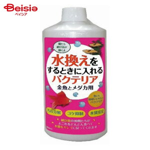 hbOC[ ƂɓoNeA ƃ_Jp 300ml ybg |  oNeA  _J   300ml
