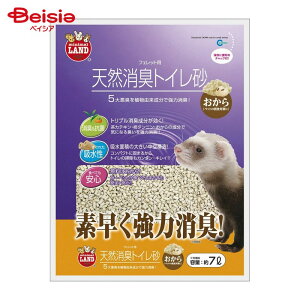 }J VRLgC  7L MR697 ybg | gC   nX^[  bg L VR 7L