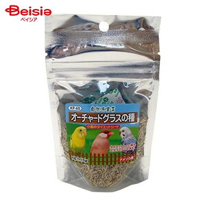 ybgt[h Rh錾 I[`[hOX̎ KP-65 15g ybg