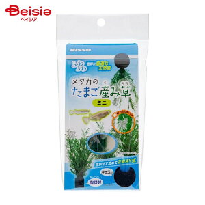 }J(jb\[) _Ĵ܂Yݑ~j NAP-589 ybg