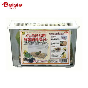 OW B52 CRЂȗpZbg ybg