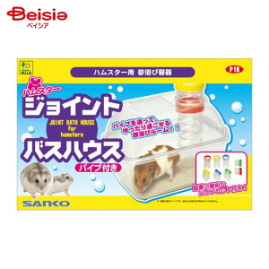 OW P16 nX^[WCgoXnEX (pCvt) ybg