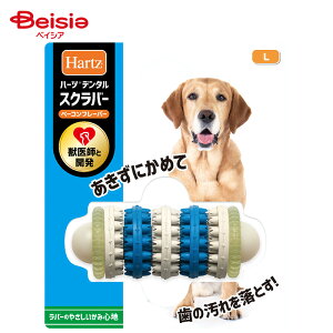 ZAOC^[iVi n[cf^ XNo[x[Rt[o[ L ^~^p ybg |   f^ XNo[ x[R L ^ ^ n[c ybgpi p 