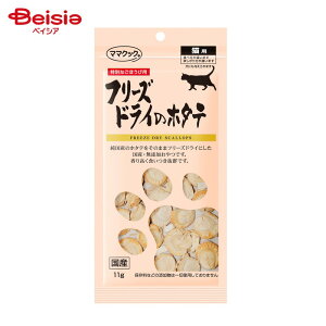 }}NbN t[YhC̃z^e Lp 11g ybg | L  z^e t[YhC Y Y qL L VjAL 11g ybg