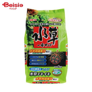 WFbNX FP ԃTh 4kg ybg