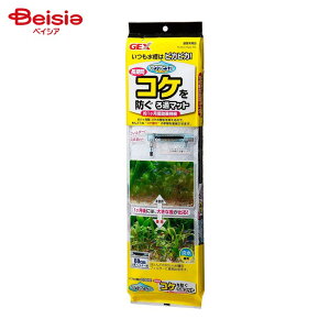 WFbNX FP ANAsA RPh߃}bg ybg