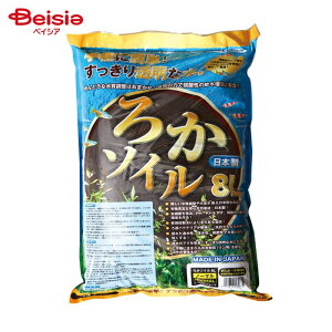 H| 납\C m[} 8L X[p[ubN ybg