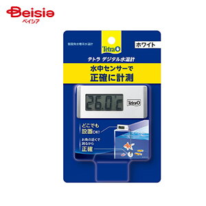 XyNg@uY Tetra eg fW^v zCg WD-1×1 ybg
