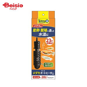 XyNg@uY Tetra eg _JI[gq[^[ 50W×1 ybg