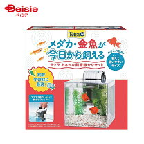 楽天市場】テトラ 熱帯魚飼育セットの通販