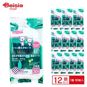 X[p[Lbg 炭炭 ݂V[g  30×12 ybg