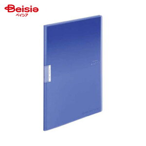 N[ubNbeA4S10P -LM10B x2