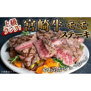 Gc[ {苍Xe[L100g×8(t)  Ⓚ | {苍 a Xe[L Y  {  Ԑg  ґ Mtg  v[g ē BBQ 