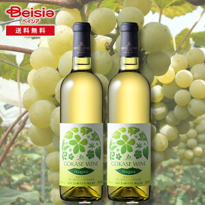 ܃Ci[ ܃C iCAK 2{Zbg | ܃C iCAK C {茧 {C uhE Cݔ v[g  Mtg yAO NX}X  