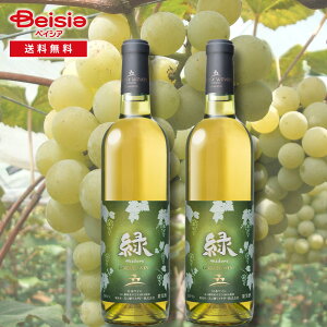 ܃Ci[ ܃C (݂ǂ) 2{Zbg | ܃Ci[ ܃C {茧 C  v[g Mtg Zbg Y ΃C ݂ǂ胏C {YC