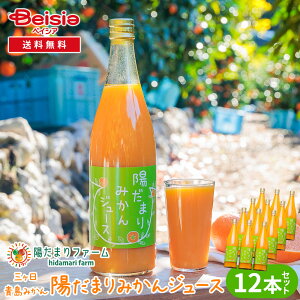 陽だまりファーム 三ヶ日青島みかんジュース ストレート100% 720ml 12本セット