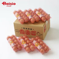 東養鶏場 えびの高原卵 10個入×6パック フリーサイズ | 東養鶏場 卵 ギフト 産地直送 プレゼント 高級贈…