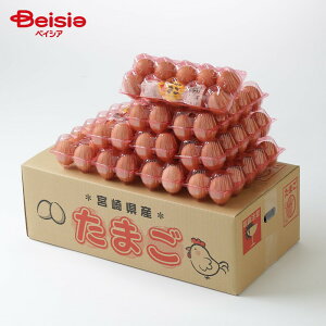 {{ т̍ 10×10pbN t[TCY | {{  Mtg Yn v[g p  Ă   VN h{_ 藑