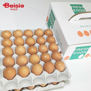 _N[|p10%OFF420:00`91:59^{{ т̍ p 50 t[TCY | {{  Mtg Yn v[g p  Ă  