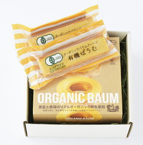 xm_ I[KjbNoEN[wZbg(I[KjbNoEN[w×1I[KjbNoEN[w(XeBbN^Cvj×2) | I[KjbNoEN[w