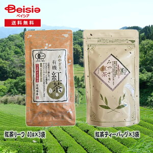 {蒃[ L@gZbg [tAeB[obO | {蒃[ L@gZbg [t eB[obO g t