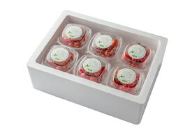 大橋さくらんぼ園 冷凍さくらんぼ赤ミックス6p | 冷凍さくらんぼ さくらんぼ 冷凍 フルーツ 赤ミックス さくらんぼ 大容量 スムージー用 アイス 冷凍果実 デザート