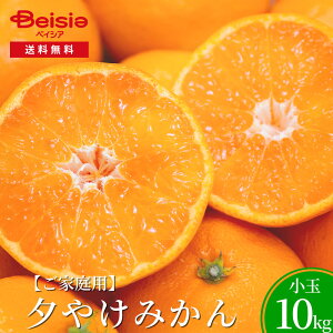 [₯݂iƒpj10kg | [₯݂ ݂ ƒp 󂠂  10kg t[c ʕ k { fU[g  O