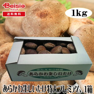 炩퐶v~A1kg |  V v~A N O o[xL[  X[p[t[h | h{