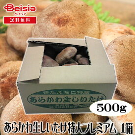 あらかわ生しいたけ特大プレミアム500g箱 | 生しいたけ 新潟 健康 高品質 料理 栄養価 アミノ酸 お味噌汁 地産地消 プレミアム