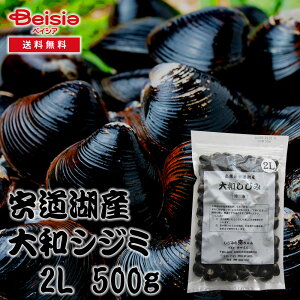 ݂̍ ΎY}gVW~ 2L 500g | ΎY }gVW~ h{ NHi ƒ뗿  | yɒ nY
