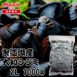 ݂̍ ΎY}gVW~ 2L 1000g | }gVW~ NHi YHi  h{ ɗD VW~Vs \ [ AW