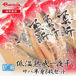 }~V ቷn銱 Tog8Zbg | To 銱 I   g 8 Zbg CN Mtg 蕨 v[g  O Hi Hו т̂ 