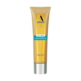 資生堂 アウスレーゼ ヘアクリームN 100g | ヘアクリーム アウスレーゼ 資生堂 メンズ 整髪料 スタイリング剤 しっとり まとまる 髪 ツヤ 男性