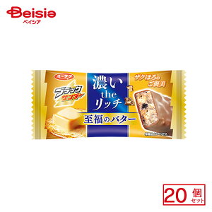 Ly ubNT_[ ̃o^[ 1{×20 | `Ro[ `R[g N` ło^[ Z b` `F_[`[YpE_[ A[hrXPbg َq  ܂Ƃߔ 